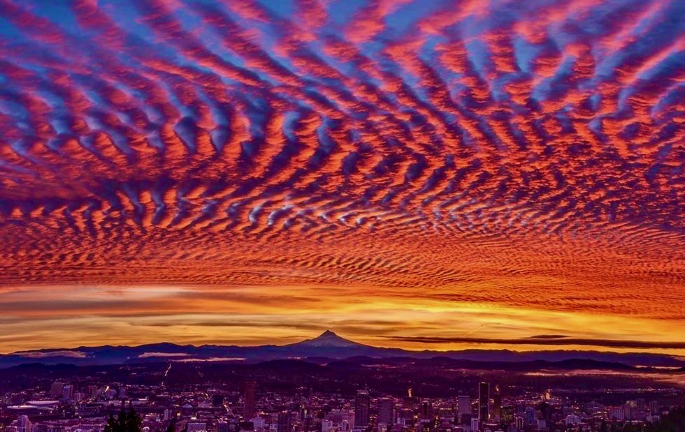 Blue Water Shipping, Inc. Handling your Agency Needs from Coast to Coast